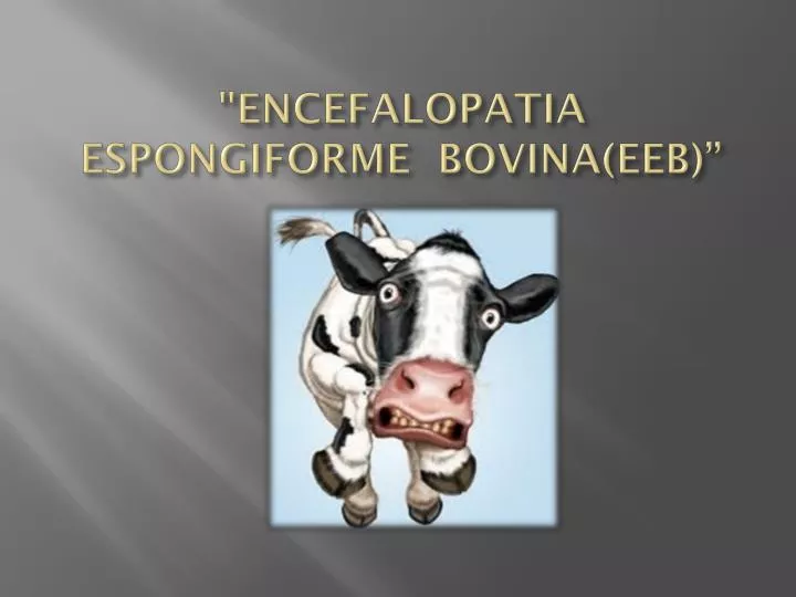 encefalopatia espongiforme bovina eeb