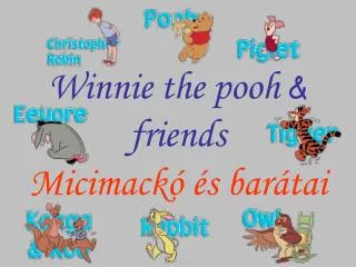 micimack s bar tai