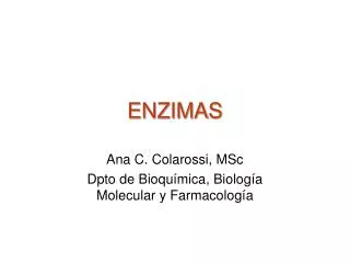 enzimas