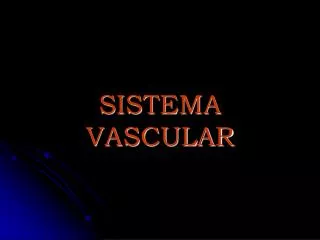 sistema vascular