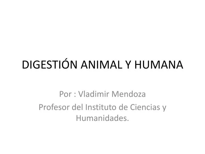 digesti n animal y humana