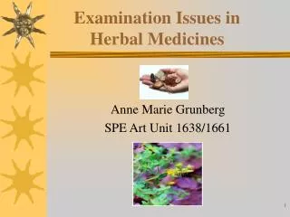 Examination Issues in Herbal Medicines