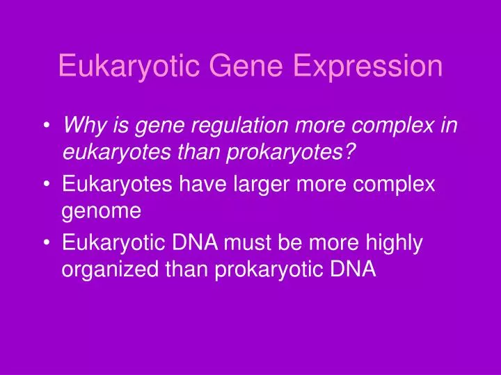 eukaryotic gene expression