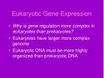 Eukaryotic Gene Expression