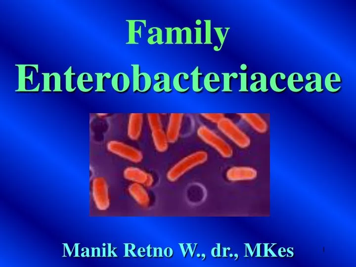 family enterobacteriaceae manik retno w dr mkes
