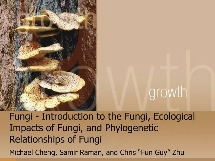 fungi introduction to the fungi ecological impacts of fungi and phylogenetic relationships of fungi