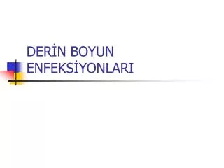 der n boyun enfeks yonlari