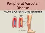 PPT - Acute Mesenteric Ischemia PowerPoint Presentation, free download ...