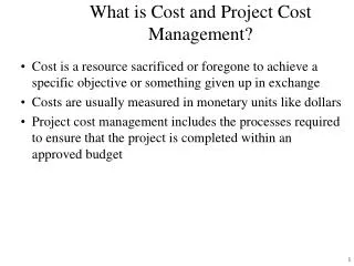 what is cost and project cost management