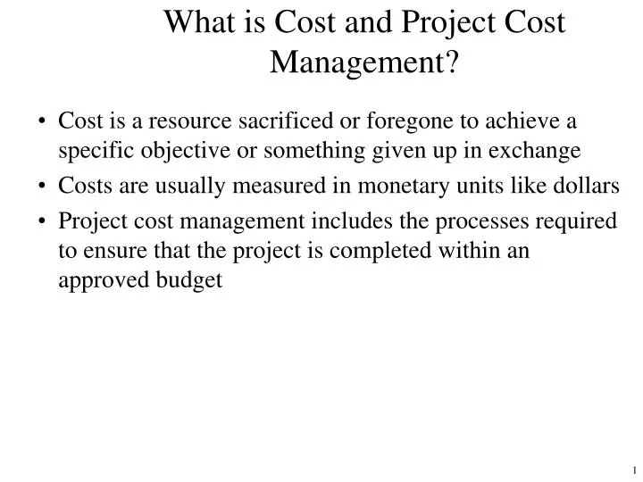 what is cost and project cost management