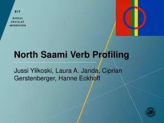 North Saami Verb Profiling