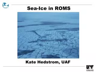 Sea-Ice in ROMS