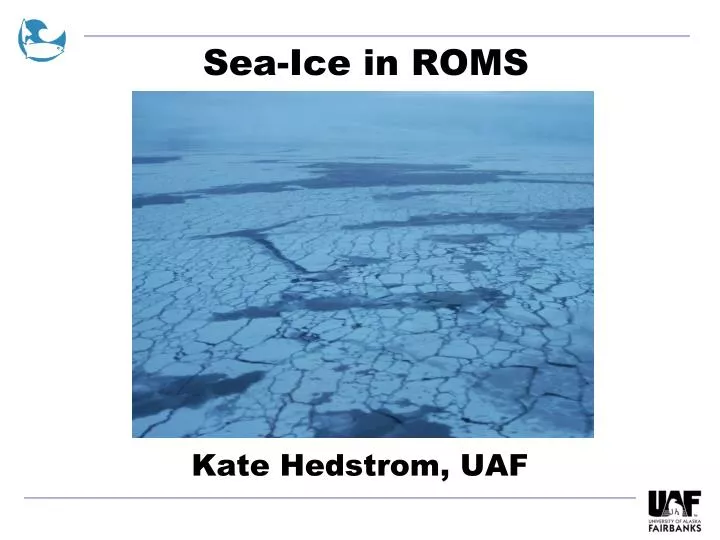 sea ice in roms