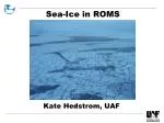Sea-Ice in ROMS - slide 1