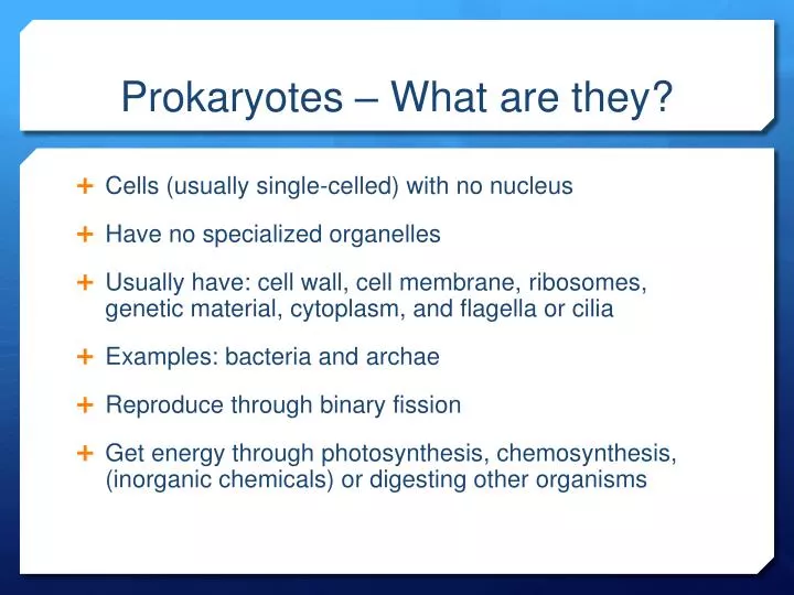prokaryotes what are they
