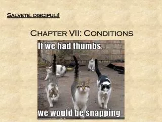 Salvete, discipuli! Chapter VII: Conditions