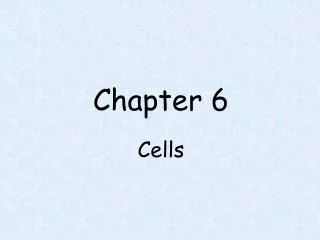 Chapter 6