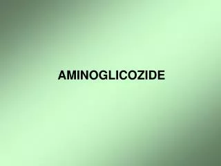 AMINOGLICOZIDE