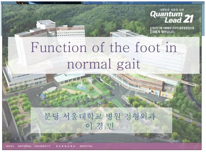 function of the foot in normal gait