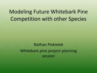 Modeling Future Whitebark Pine Competition with other Species