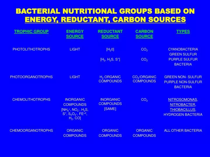 bacterial nutritional groups based on energy reductant carbon sources