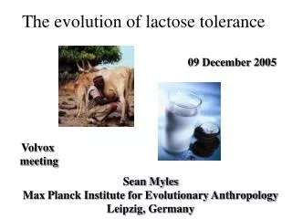 The evolution of lactose tolerance
