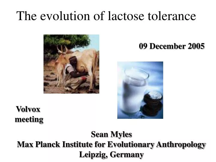 the evolution of lactose tolerance