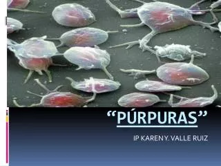 ip karen y valle ruiz