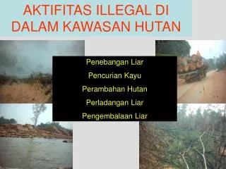 aktifitas illegal di dalam kawasan hutan