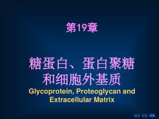glycoprotein p roteoglycan and extracellular matrix