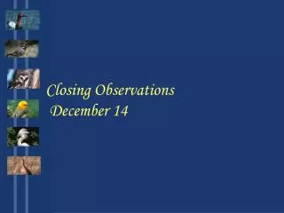 Closing Observations December 14