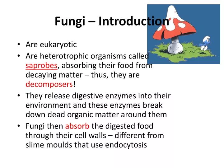 fungi introduction