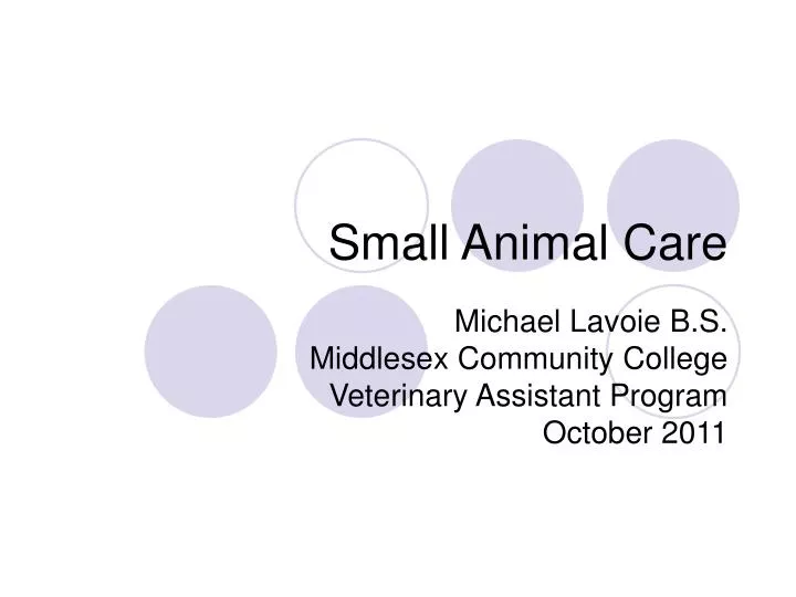 small animal care