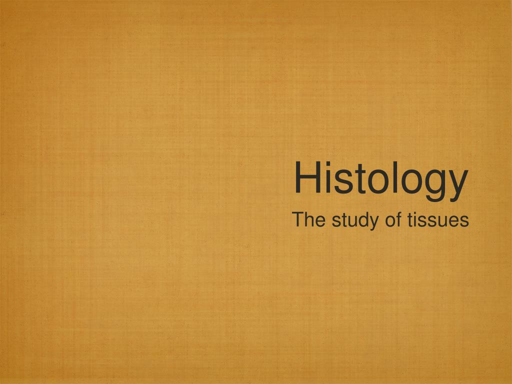 PPT - Histology PowerPoint Presentation, free download - ID:5736946