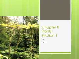Chapter 8 Plants: Section 1