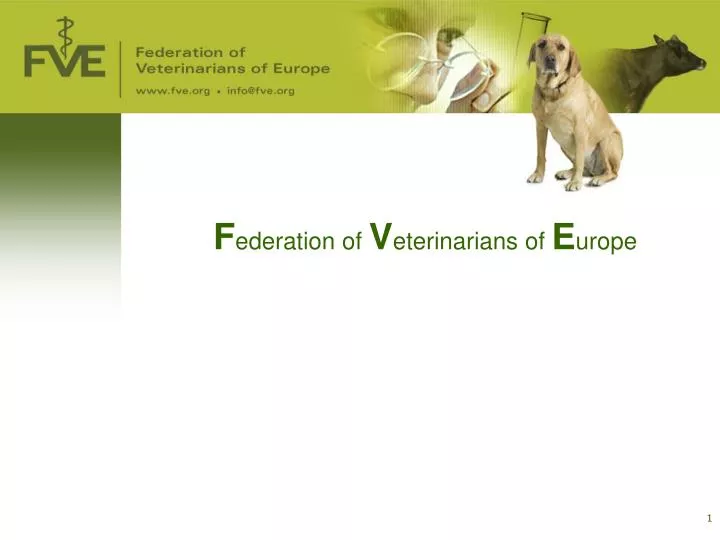 f ederation of v eterinarians of e urope