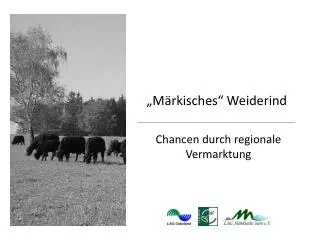 m rkisches weiderind