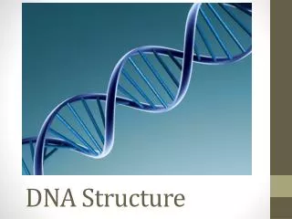 DNA Structure