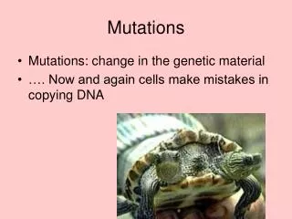 Mutations