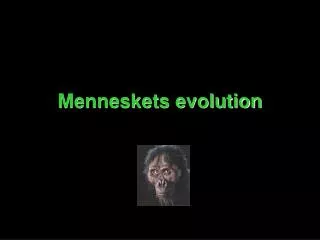 menneskets evolution