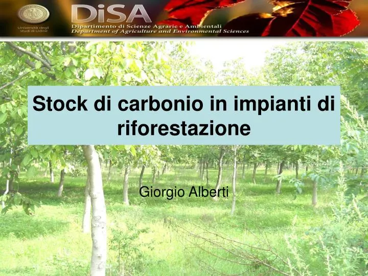 stock di carbonio in impianti di riforestazione