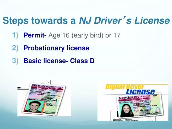 steps towards a nj driver s license