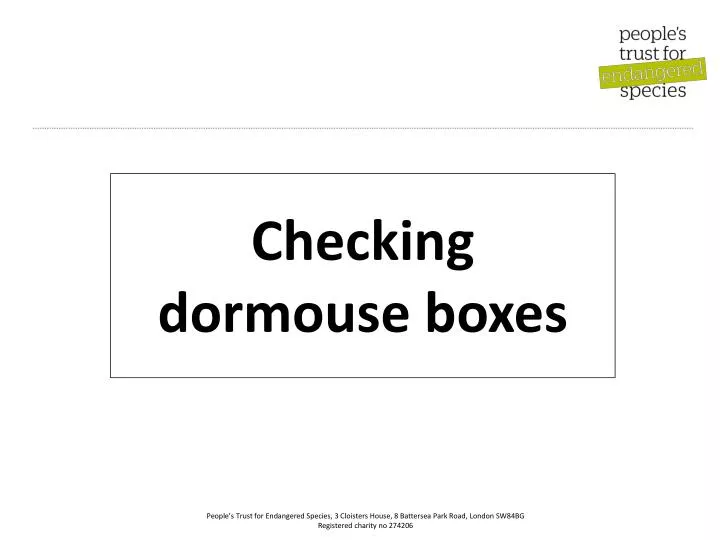 checking dormouse boxes