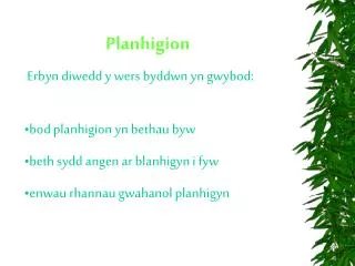 Planhigion