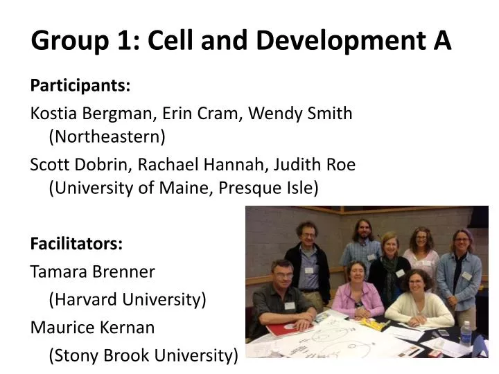 group 1 cell and development a