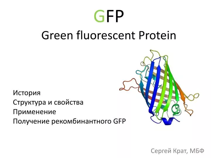 g fp green fluorescent protein