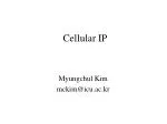 Cellular IP - slide 1