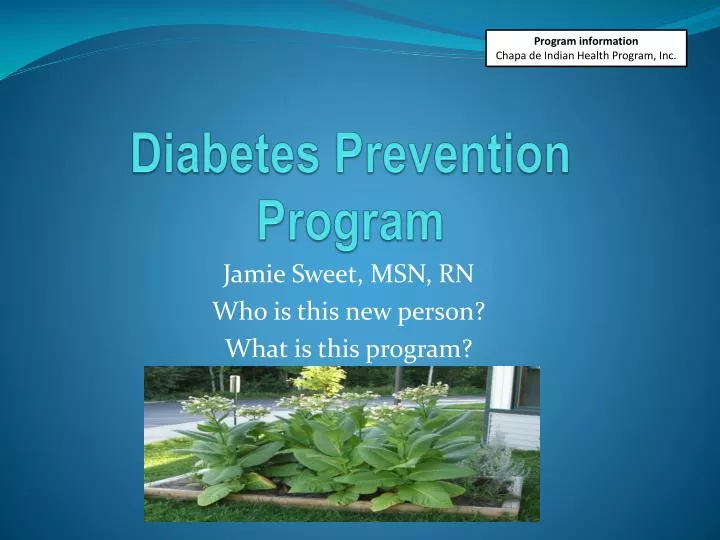 diabetes prevention program