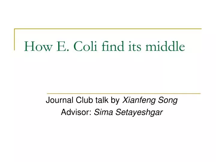 how e coli find its middle