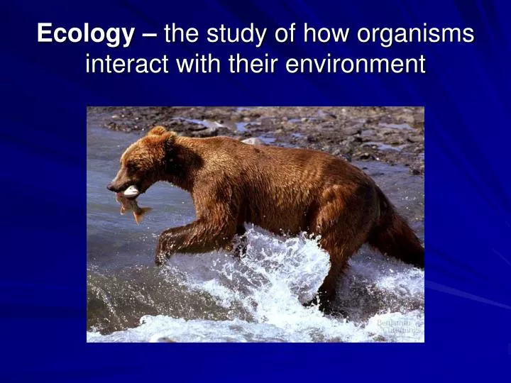 ecology the study of how organisms interact with their environment